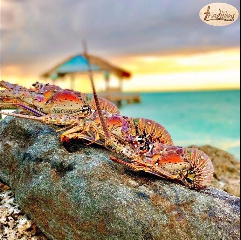 Fresh Tobago lobster at sunset